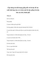 Cấp chứng chỉ chất lượng giống đối với bò đực để sản xuất tinh lỏng cho cơ sở chăn nuôi bò đực giống trên địa bàn của tỉnh, thành phố pps