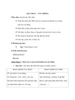 Giáo án Sinh học 6 - HẠT TRẦN - CÂY THÔNG pptx