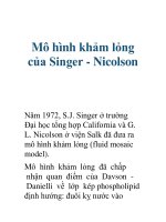 Mô hình khảm lỏng của Singer - Nicolson ppsx