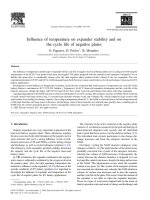 Influence of temperature on expander stability and on the cycle life of negative plates docx