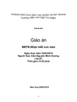 GA nhan biet con meo_NT