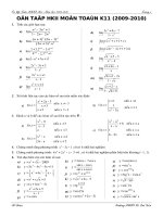 Ôn tập Toán HKII K11 năm học 2009-2010