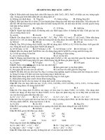 kiem tra hoc ki 2 lop 12