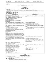 Giáo án lớp 4 tuan 31 CKTKN