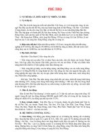 Phú Thọ - Tiềm năng và phát triển.