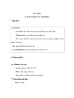 Sinh học 6 - NẤM - MỐC TRĂNG VÀ NẤM RƠM pps