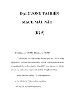 ĐẠI CƯƠNG TAI BIẾN MẠCH MÁU NÃO (Kỳ 5) pps