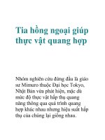 Tia hồng ngoại giúp thực vật quang hợp ppsx