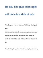 Ba câu hỏi giúp thích nghi với bối cảnh kinh tế mới ppsx