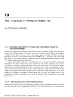 Chapter 19: The Disposal of Portable Batteries doc
