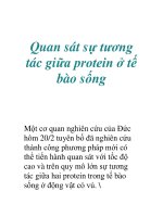 Quan sát sự tương tác giữa protein ở tế bào sống pps