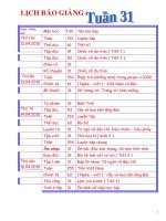 GA ló­p 2 tuần 31(CKT)