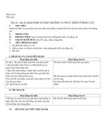 bai 42 sinh san vo tinh thuc vat