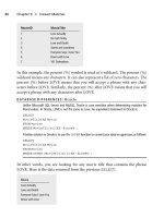 The Language of SQL- P21 ppsx