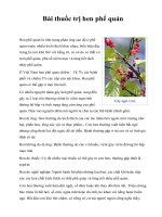 Bài thuốc trị hen phế quản ppt