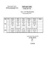 THỜI KHÓA BIỂU KHỐI LỚP 1