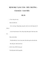 BỆNH HỌC TẠNG TÂM - TIỂU TRƯỜNG TÂM BÀO - TAM TIÊU (Kỳ 8) pdf
