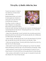 Tử uyển, vị thuốc chữa ho, hen docx