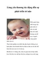 Lòng yêu thương tác động đến sự phát triển trí não ppt