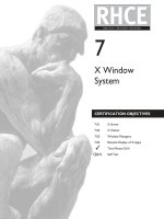 x window system