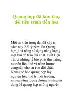 Quang hợp đã làm thay đổi tiến trình tiến hóa doc