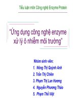Tiểu luận môn Công nghệ Enzyme Protein docx