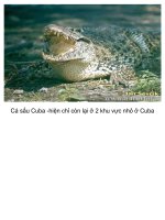 Anh 10 loai đong vat quy hiem