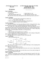 Đề thi HSG tỉnh môn hóa học 9