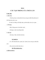 Sinh học 7 - CẤU TẠO TRONG CỦA THẰN LẰN pot