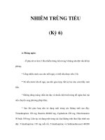 NHIỄM TRÙNG TIỂU (Kỳ 6) pptx