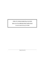 Báo cáo kinh doanh docx