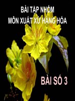 Bài tập nhóm môn xuất xứ hàng hóa - bài số 3 pot