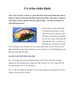 Cá trắm chữa bệnh Theo y học cổ truyền, cá trắm có vị ngọt tính bình. Công pptx