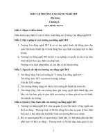 Điều lệ TT DN IDT