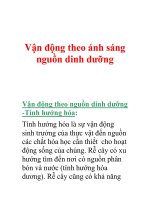 Vận động theo ánh sáng nguồn dinh dưỡng doc
