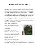 Chứng huyết ứ trong Đông y pdf