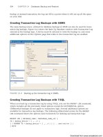 Microsoft SQL Server 2008 R2 Unleashed- P46 ppsx