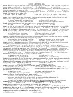 Đề Thi TNTHPT (theo cấu trúc Bộ_2010)