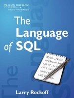 The Language of SQL- P1 pdf