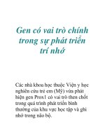 Gen có vai trò chính trong sự phát triển trí nhớ pot