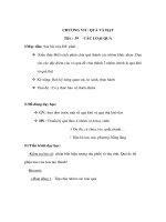 Giáo án Sinh học 6 - QUẢ VÀ HẠT ppsx