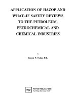 APPLICATION WHAT-IF OF HAZOP AND SAFETY REVIEW AND TO THE PETROLEUM, PETROCHEMICAL CHEMICAL INDUSTRIES pot