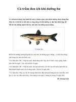 Cá trắm đen ích khí dưỡng hư ppsx