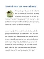 Thà chết nhát còn hơn chết thiệt ppt