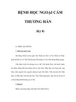 BỆNH HỌC NGOẠI CẢM THƯƠNG HÀN (Kỳ 8) pot