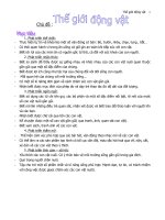 Chủ đề TGĐVật