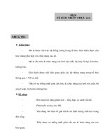 Giáo án Sinh học 10 nâng cao - TẾ BÀO NHÂN THỰC (t.t) pot