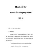 Thoát cốt thư (viêm tắc động mạch chi) (Kỳ 3) doc