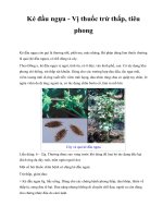 Ké đầu ngựa - Vị thuốc trừ thấp, tiêu phong pdf