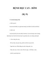 BỆNH HỌC CAN - ĐỞM (Kỳ 9) pps